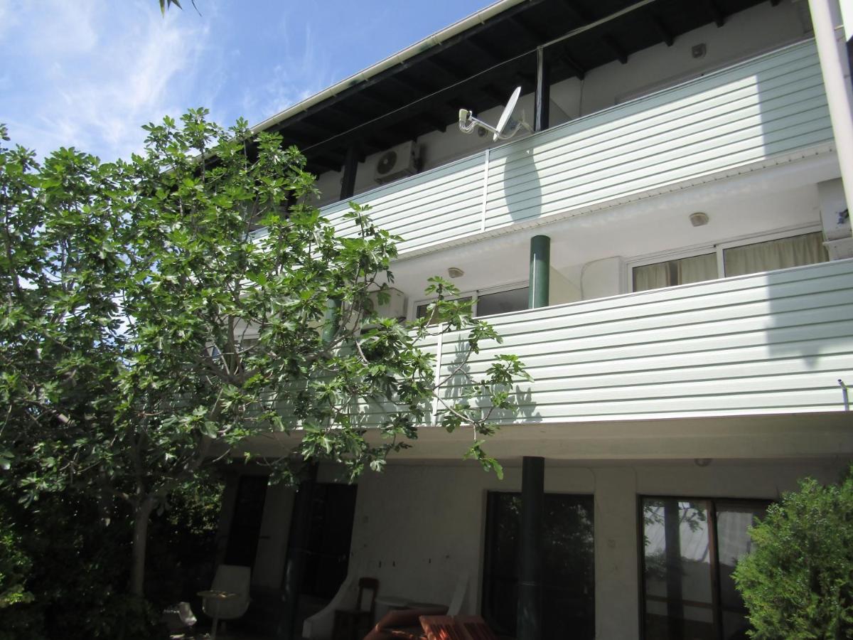 Hostel Papagal Warna Exterior foto